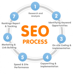 SHOPIFY and WORDPRESS SEO